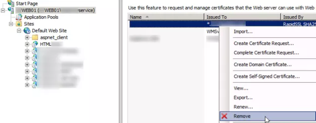 delete old ssl certificate IIS